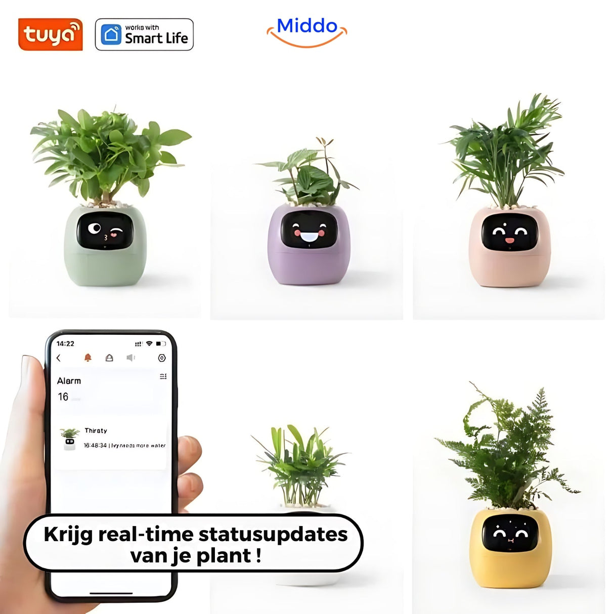 Happy Ivy lässt sich einfach mit der App verbinden