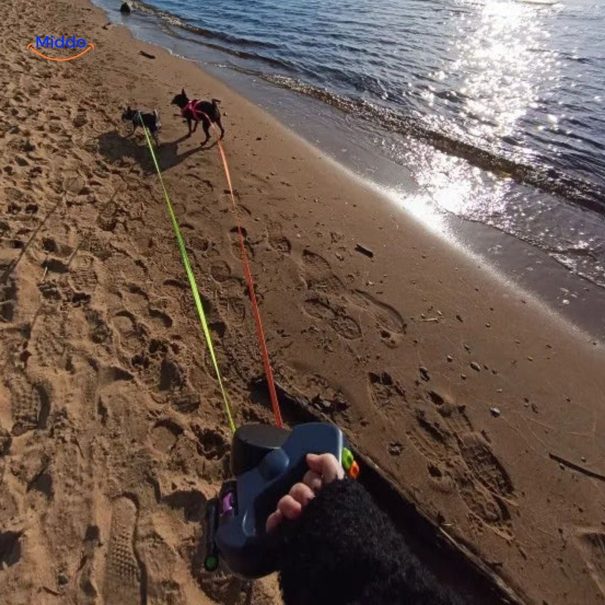 Wandern mit Hunden am Strand mit einer einziehbaren Leine
