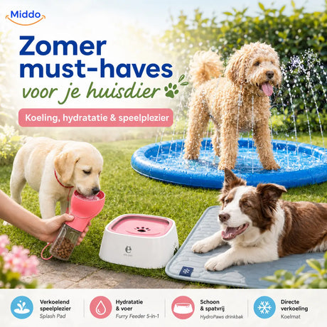 Haustierprodukte für schönes Wetter: So genießt du sonnige Tage mit deinem Hund