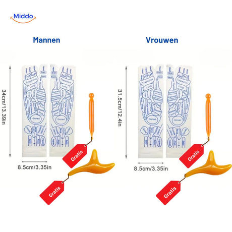 Akupunktur-Socken für Männer und Frauen - Größenunterschiede www.middo.de