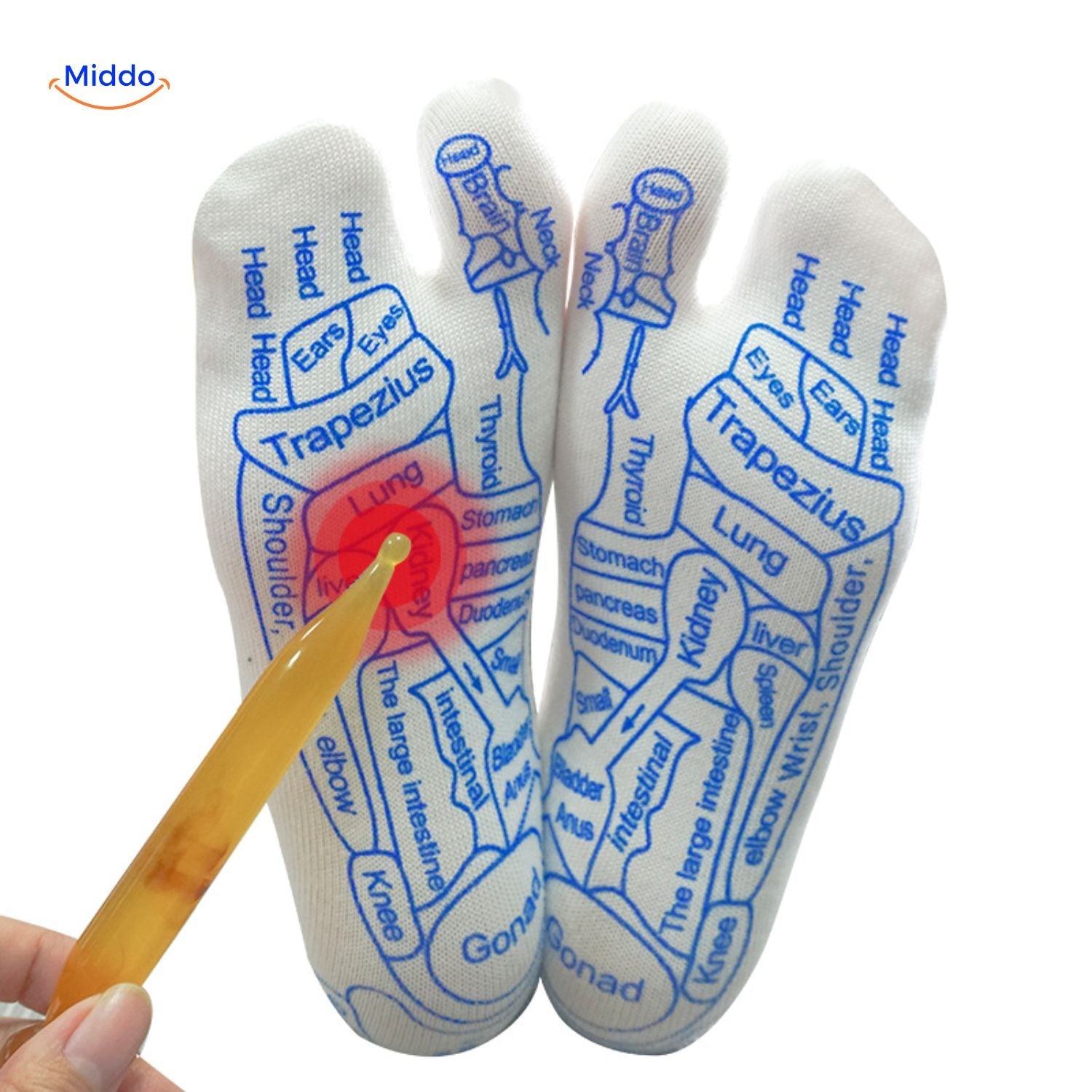 Acupoint Socken spezifischen Punkte für Massage www.middo.de