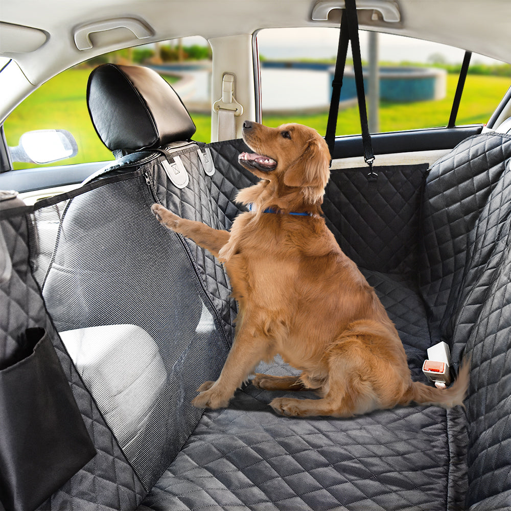 Auto-freundliche Haustier-Schutzdecke im Auto mit braunem Hund auf der Rückbank.