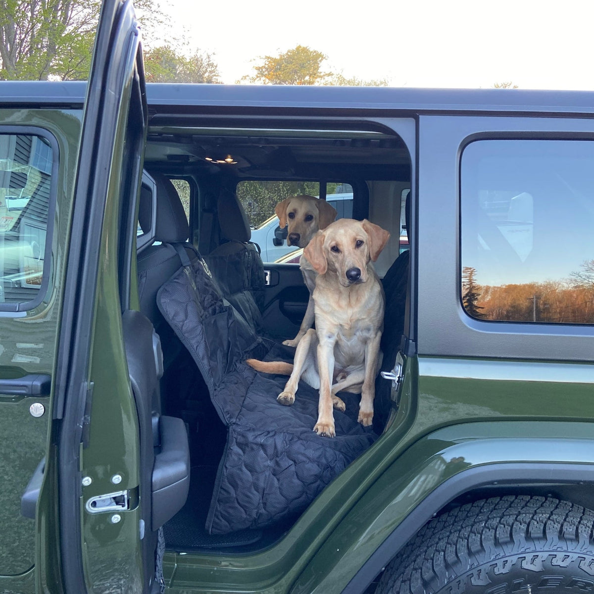 Zwei Hunde auf der Rückbank eines grünen Jeeps, die auf einer auto- und haustierfreundlichen Abdeckung sitzen