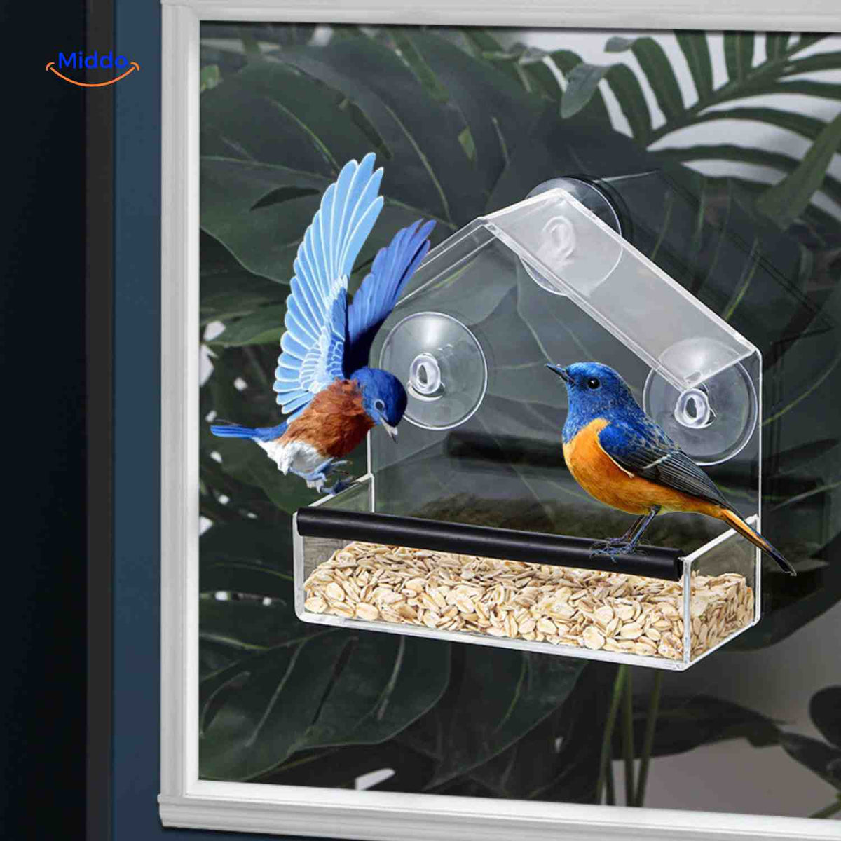 AviHaven™ Vogelhaus, Produktansicht 09