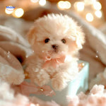 BunnyBuddy Plüsch-Weihnachtsgeschenk-Hund mit Geschenkschachtel umgeben von Geschenken www.middo.nl