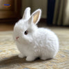 BunnyBuddy Plüsch schöne helle flauschige Bunny Kuscheltier www.middo.nl