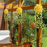 Gelbe charmante Orchideen für Gartenumrandungen