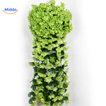 Grüne charmante Orchideen an der Wand