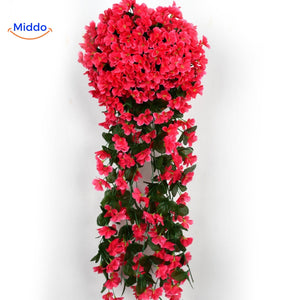 Rote charmante Orchideen an der Wand