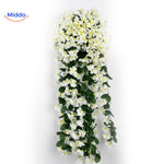 Weiße charmante Orchideen an der Wand