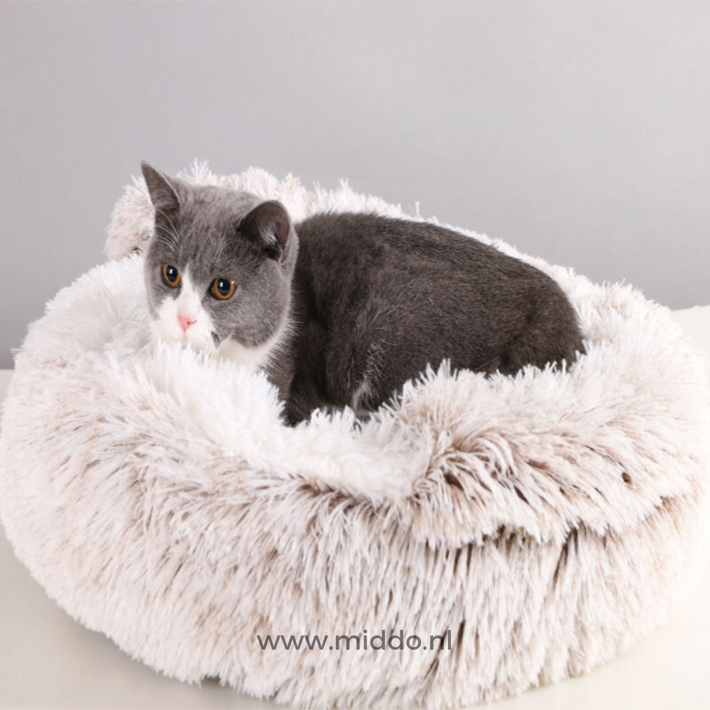 Katze im komfortablen, hellbraunen Haustierbett SoftSnuggle