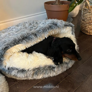 Hund im gemütlichen und komfortablen Haustierbett SoftSnuggle