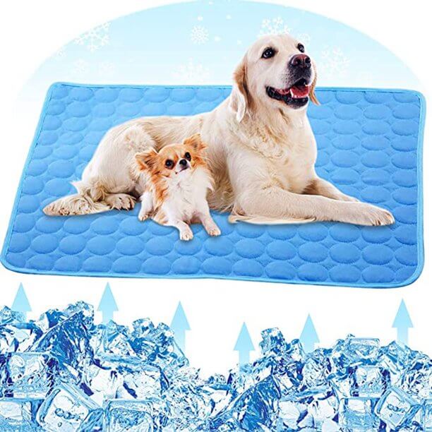 Zwei Hunde auf der blauen Coolmat Haustiermatte