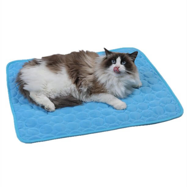 Kat liegend auf blauer Coolmat Haustiermatte