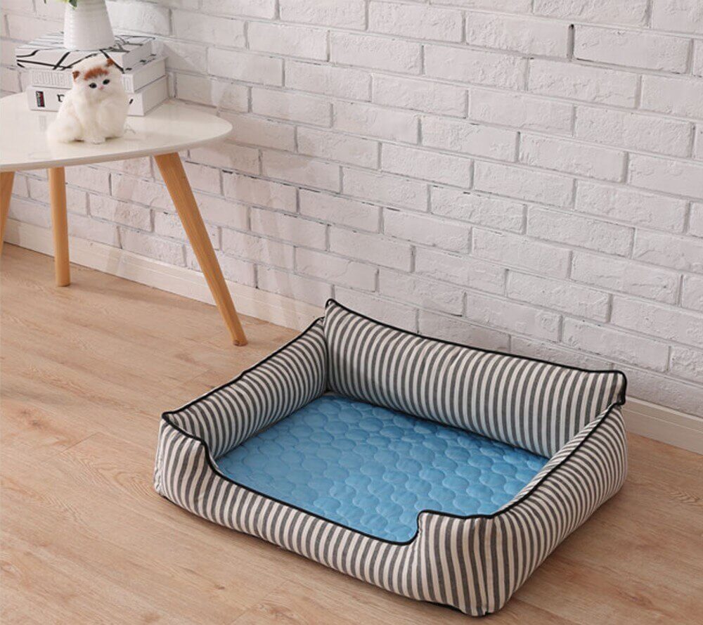 Blau matte, dicke Coolmat für Haustiere liegt in einem Hundekorb auf dem Boden