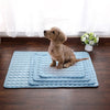 Kleine braune Hunde sitzen auf allen Größen der blauen Coolmat.