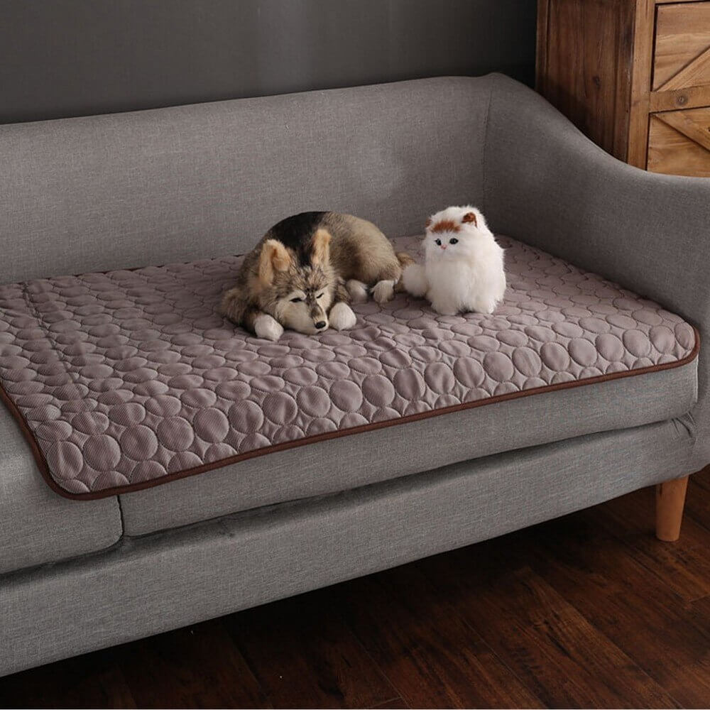Hund und Katze liegen auf einer braunen Coolmat auf dem Sofa.
