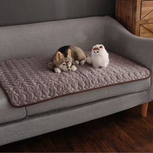 Hund und Katze liegen auf einer braunen Coolmat auf dem Sofa