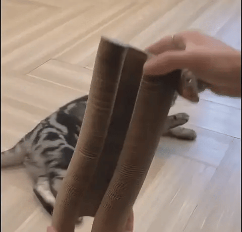Der Kattenscratcher™ | Kratzen und Spielen für jede Katze
