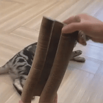 Der Kattenscratcher™ | Kratzen und Spielen für jede Katze