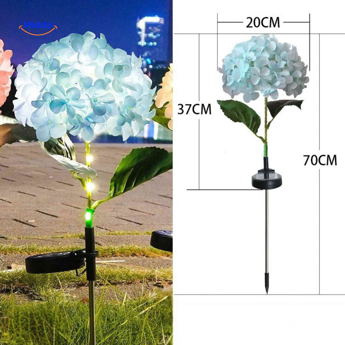 Florora Laterne blau Hortensie mit einer Höhe von 70 cm