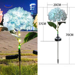 Florora Laterne blau Hortensie mit einer Höhe von 70 cm - www.middo.nl