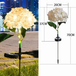 Florora Lanterne Gelb mit Hortensie – Höhe 70 cm | www.middo.de