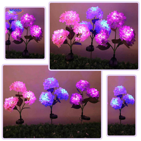 Florora Laterne LED-Hortensienbeleuchtung Set – www.middo.de