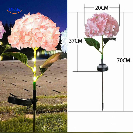 Florora Laterne Rosa Hortensie, Höhe 70 cm - www.middo.de