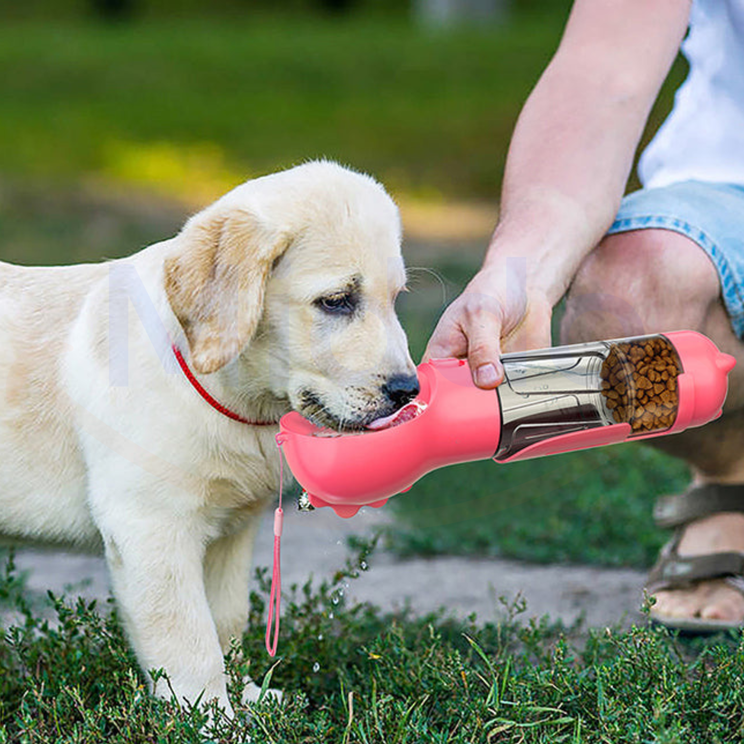 Hund trinkt aus pinkem FurryFeeder auf Gras