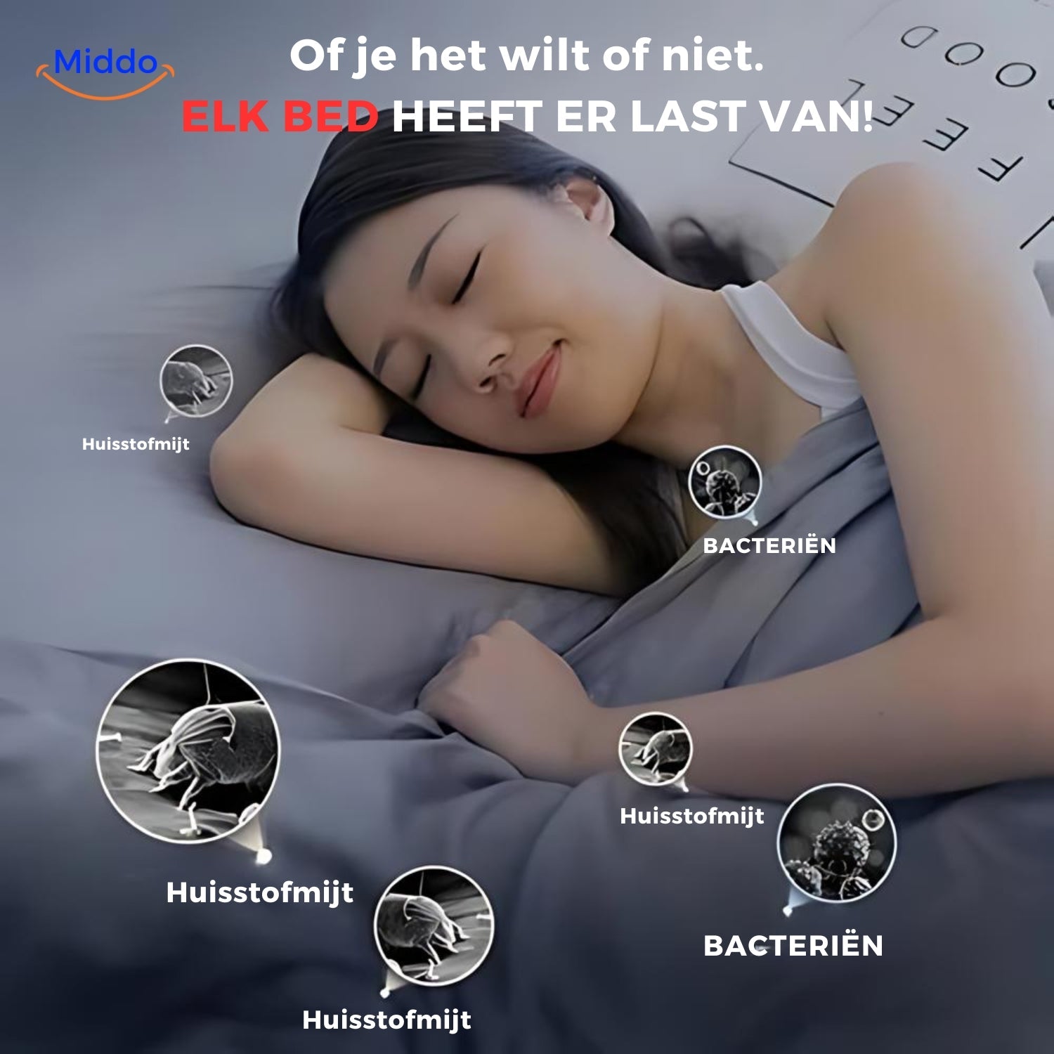 Entfernung von Hausstaubmilben und Bakterien mit einem Matratzenstaubsauger.