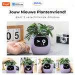 Foto von allen Emoticons von Happy Ivy