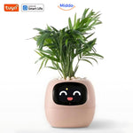 Roze Happy Ivy Pflanzen Topf von Middo.nl