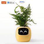 Gelbe Happy Ivy Pflanzenpot von Middo.nl