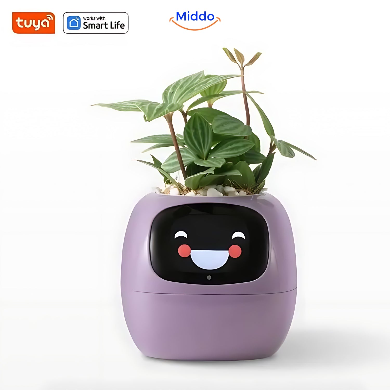 Lila Happy Ivy Pflanzentopf von Middo.nl