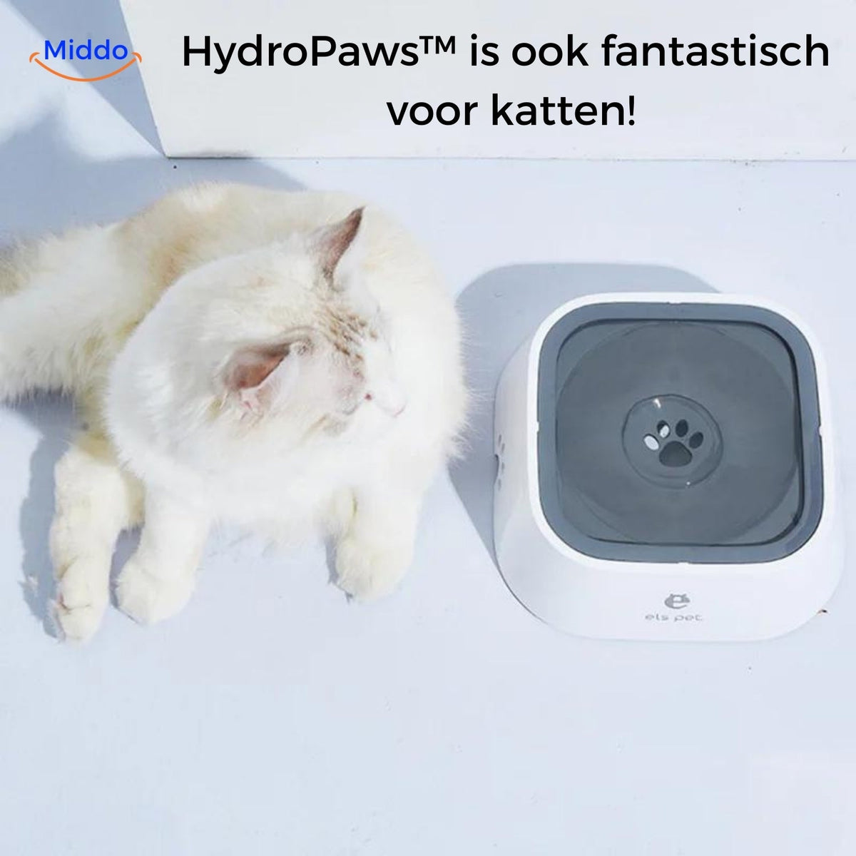 HydroPaws Anti-Spritz Trinknapf für Katzen, hält ihn sauber