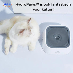 HydroPaws Anti-Spritz Trinknapf für Katzen, hält ihn sauber