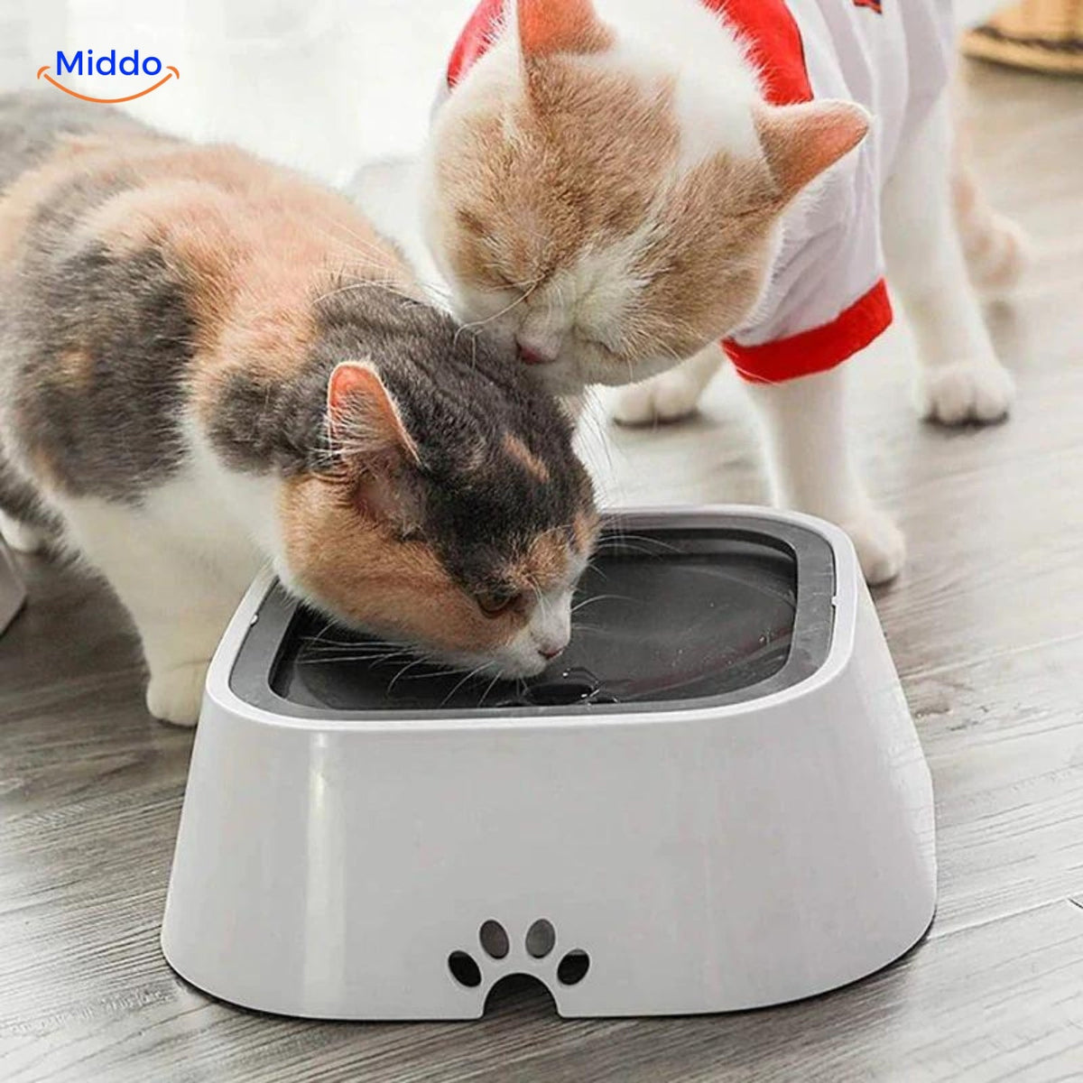 HydroPaws Anti-Spritz Trinkschale für Katzen, saubere Trinklösung