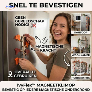 IvyFlex™ Magnet-Efeu, Produktansicht 08