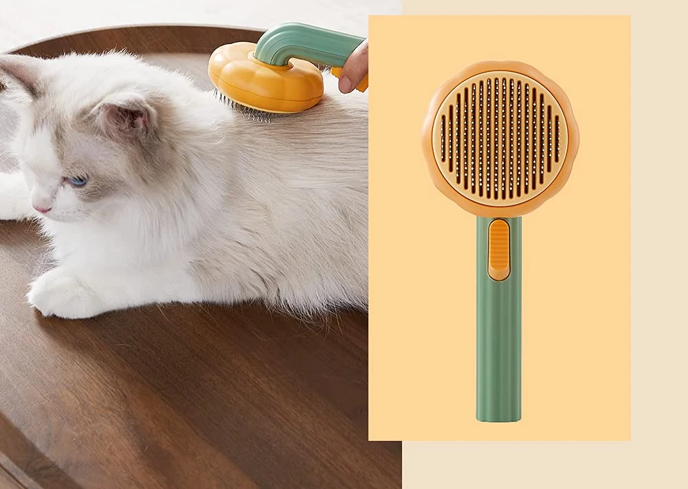 Die Katze wird mit einer einfach zu bedienenden Bürste gebürstet
