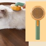 Die Katze wird mit einer einfach zu bedienenden Bürste gebürstet.