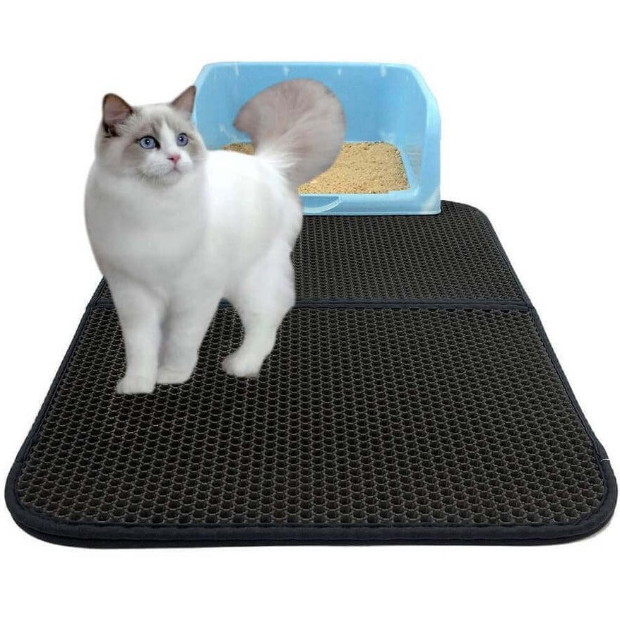 Kat läuft auf einer großen Katzenstreumatte für Katzenstreu.