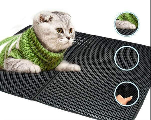 Kat liegt auf einer bequemen Katzenstreumatte mit Auffangfunktion.