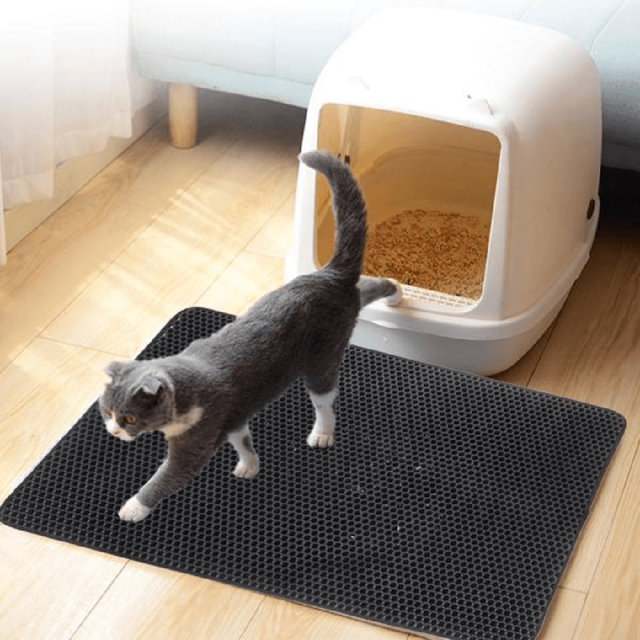 Kat läuft auf einer rutschfesten Katzentoilette für Katzenstreu. Katze auf einer Katzentoilettenmatte für das Katzenklo im Haus.