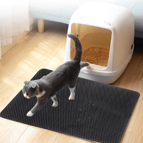 Katze läuft auf einer rutschfesten Katzentoilette für Katzenstreu. Katze auf einer Katzentoilettenmatte für das Katzenklo im Haus