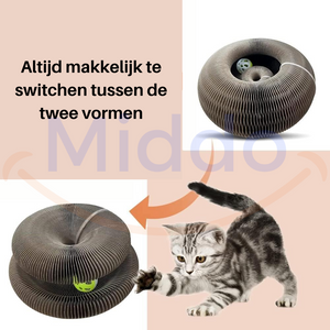 Katze spielt und wechselt zwischen den verschiedenen Stufen des Kratzbaums
