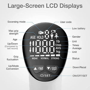 LCD-Display mit verschiedenen Funktionen und Messungen
