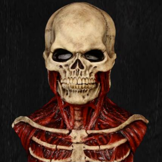 Anatomisch präzise Skelettkostüm mit detaillierten Muskeln