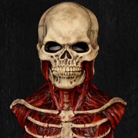 Anatomisch präzise Skelettkostüm mit detaillierten Muskeln