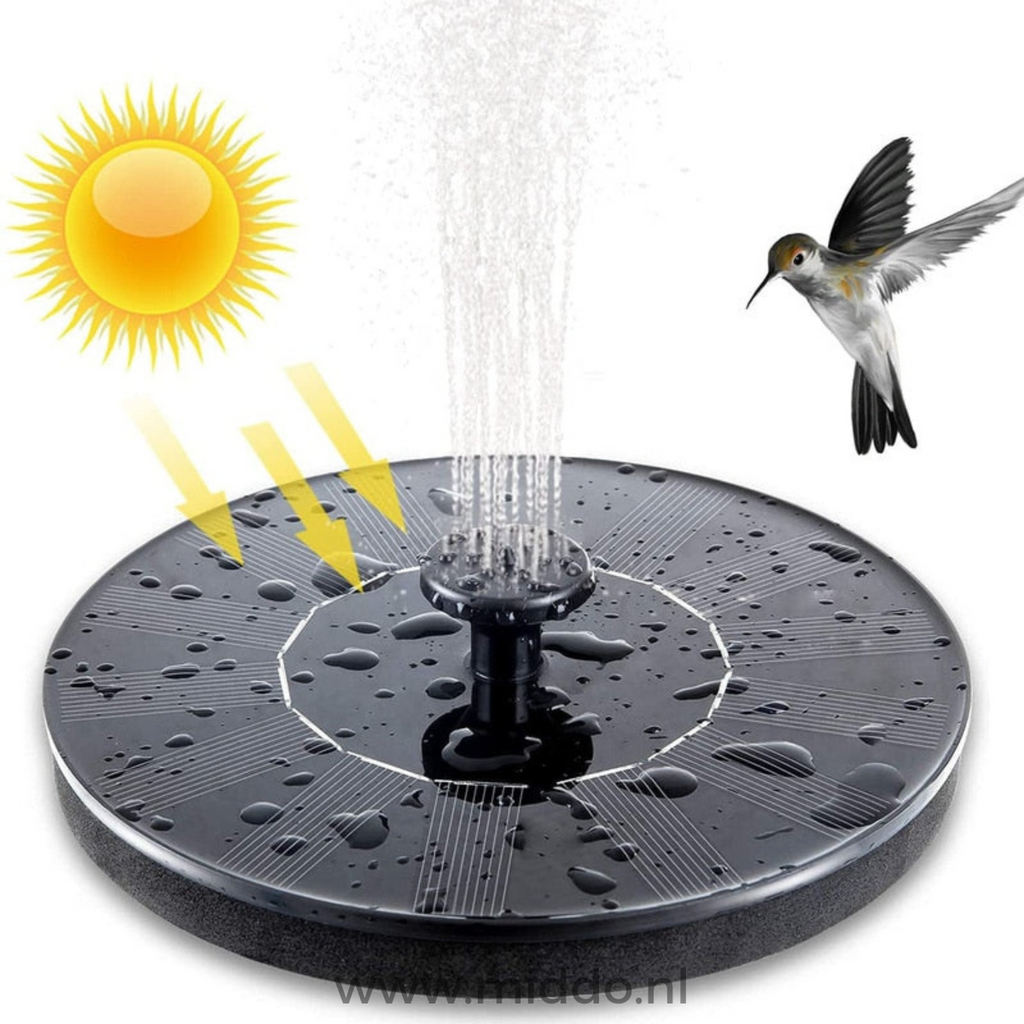 Detail einer schwarzen Fontäne mit Sonnensymbol und Kolibri